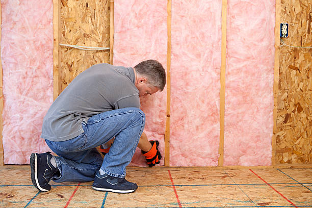 Best Insulation Contractors for Homes  in Montecito, CA