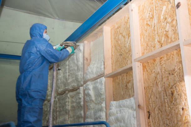 Best Insulation Contractor Near Me  in Montecito, CA